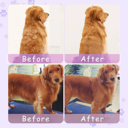 🔥Last Day Promotion 49% OFF🔥TIMNAMY® Spray defur comb with No-Rinse shampoo for Pet Bathing