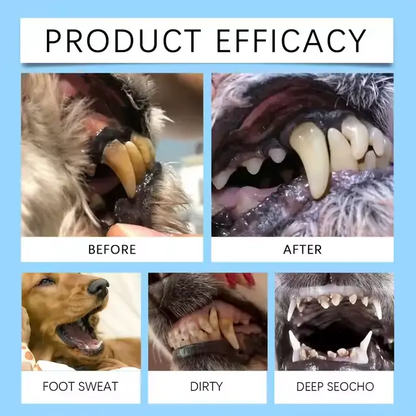 [Official Store] Lotmay® Pet Dental & Digestive Health Oral Liquid – Freshen Breath, Remove Tartar & Promote gum regeneration, stabilize teeth (for Cats & Dogs)  – Save 70% Today!🎀