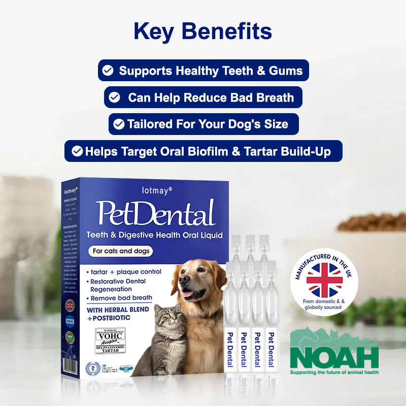 [Official Store] Lotmay® Pet Dental & Digestive Health Oral Liquid – Freshen Breath, Remove Tartar & Promote gum regeneration, stabilize teeth (for Cats & Dogs)  – Save 70% Today!🎀