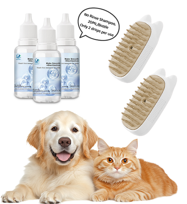 2PCS Combs with 3 bottles No-Rinse shampoo