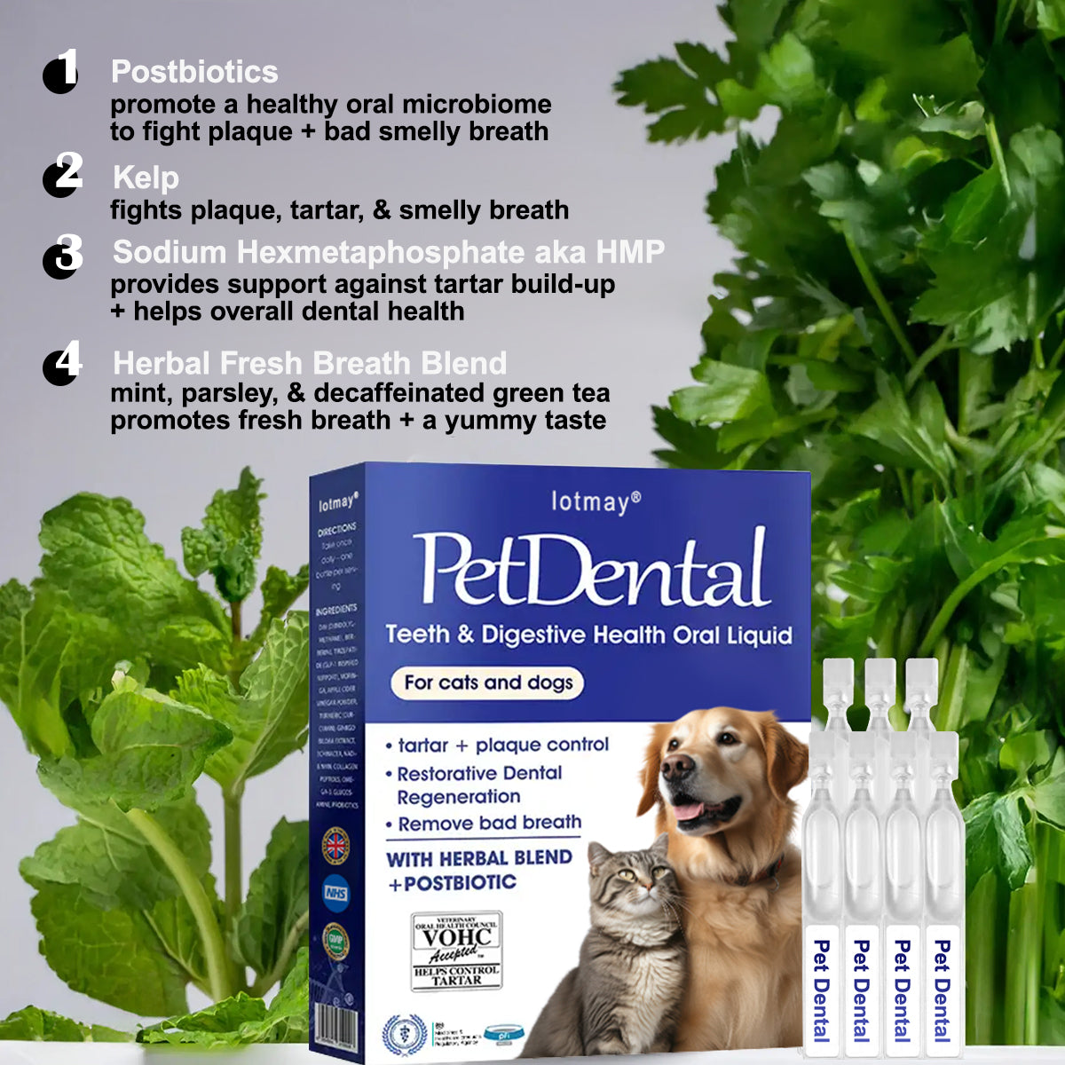 [Official Store] Lotmay® Pet Dental & Digestive Health Oral Liquid – Freshen Breath, Remove Tartar & Promote gum regeneration, stabilize teeth (for Cats & Dogs)  – Save 70% Today!🎀