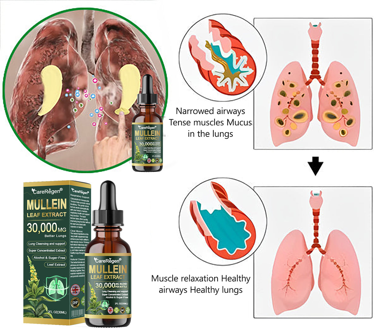 𝗢𝗳𝗳𝗶𝗰𝗶𝗮𝗹 𝗦𝘁𝗼𝗿𝗲:CareRegen®🌹💧 𝗢𝗿𝗴𝗮𝗻𝗶𝗰 𝗟𝘂𝗻𝗴 𝗖𝗹𝗲𝗮𝗻𝘀𝗶𝗻𝗴 𝗠𝘂𝗹𝗹𝗲𝗶𝗻 𝗟𝗲𝗮𝗳 𝗘𝘅𝘁𝗿𝗮𝗰𝘁 𝗗𝗿𝗼𝗽𝘀  𝐂𝐥𝐢𝐧𝐢𝐜𝐚𝐥𝐥𝐲 𝐩𝐫𝐨𝐯𝐞𝐧, 𝐡𝐢𝐠𝐡𝐥𝐲 𝐜𝐨𝐧𝐜𝐞𝐧𝐭𝐫𝐚𝐭𝐞𝐝 𝐟𝐨𝐫𝐦𝐮𝐥𝐚 𝐭𝐡𝐚𝐭 𝐫𝐞𝐥𝐢𝐞𝐯𝐞𝐬 𝐜𝐨𝐮𝐠𝐡, 𝐩𝐡𝐥𝐞𝐠𝐦, 𝐚𝐬𝐭𝐡𝐦𝐚 & 𝐂𝐎𝐏𝐃 — 𝐛𝐫𝐞𝐚𝐭𝐡𝐞 𝐞𝐚𝐬𝐢𝐞𝐫, 𝐟𝐚𝐬𝐭𝐞𝐫. 💨